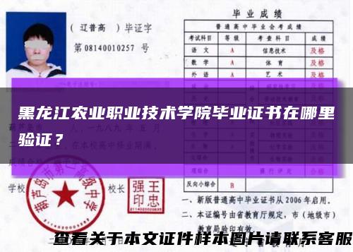 黑龙江农业职业技术学院毕业证书在哪里验证？缩略图