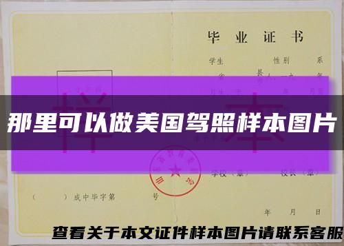 那里可以做美国驾照样本图片缩略图