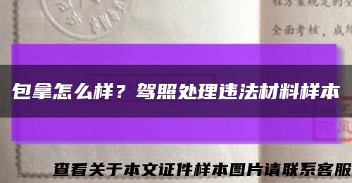 包拿怎么样？驾照处理违法材料样本缩略图