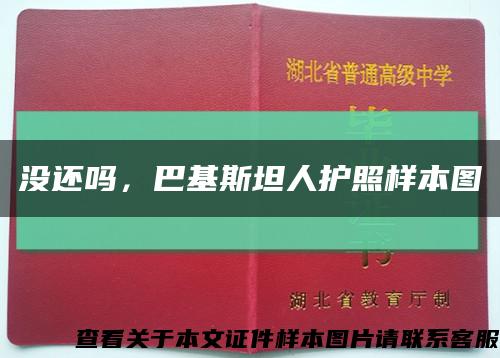没还吗，巴基斯坦人护照样本图缩略图