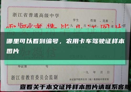 哪里可以看到编号，农用卡车驾驶证样本图片缩略图