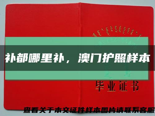 补都哪里补，澳门护照样本缩略图