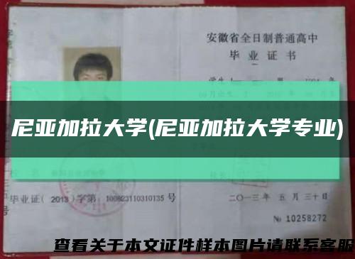 尼亚加拉大学(尼亚加拉大学专业)缩略图