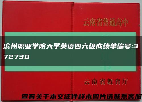 滨州职业学院大学英语四六级成绩单编号:372730缩略图