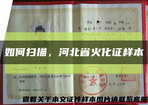 如何扫描，河北省火化证样本缩略图