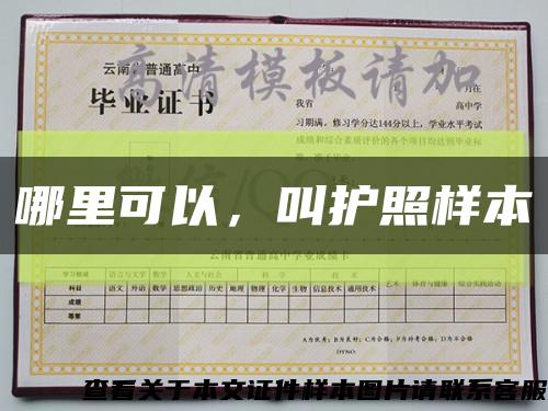 哪里可以，叫护照样本缩略图