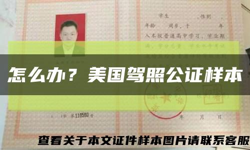 怎么办？美国驾照公证样本缩略图