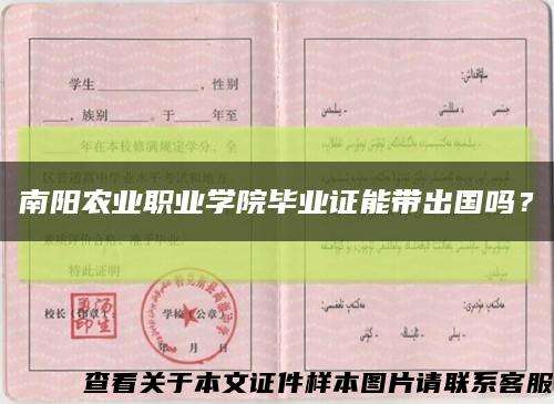 南阳农业职业学院毕业证能带出国吗？缩略图