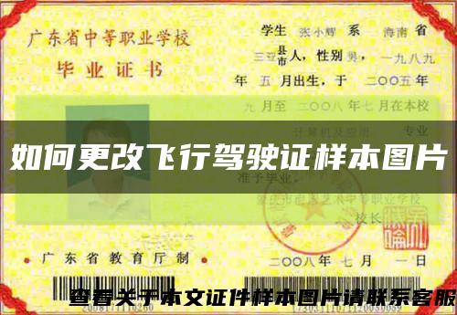 如何更改飞行驾驶证样本图片缩略图
