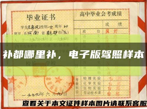 补都哪里补，电子版驾照样本缩略图