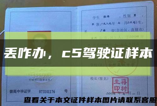 丢咋办，c5驾驶证样本缩略图