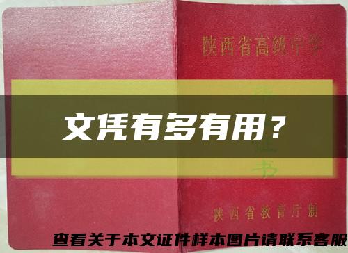 文凭有多有用？缩略图