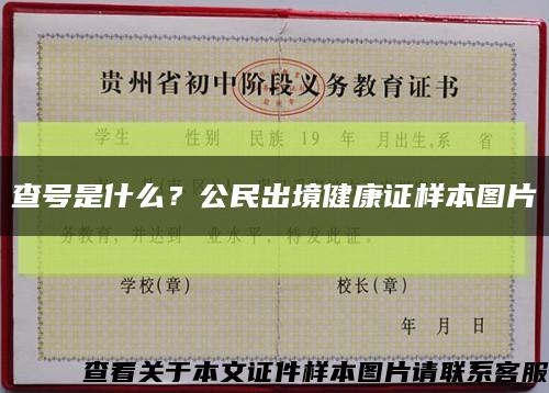 查号是什么？公民出境健康证样本图片缩略图