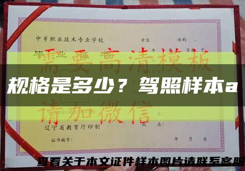 规格是多少？驾照样本a缩略图