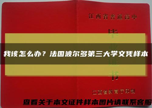 我该怎么办？法国波尔多第三大学文凭样本缩略图