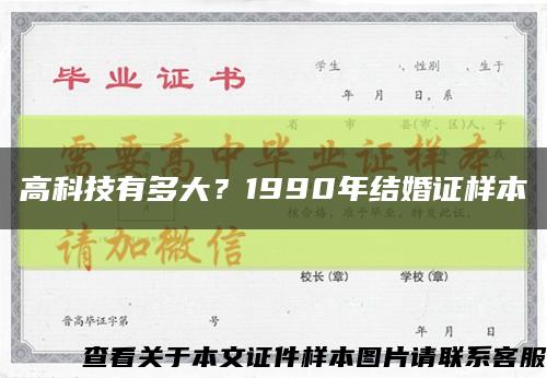高科技有多大？1990年结婚证样本缩略图