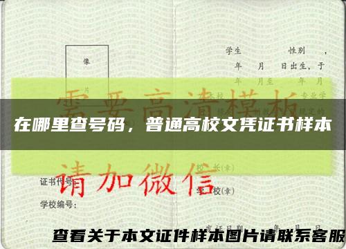 在哪里查号码，普通高校文凭证书样本缩略图