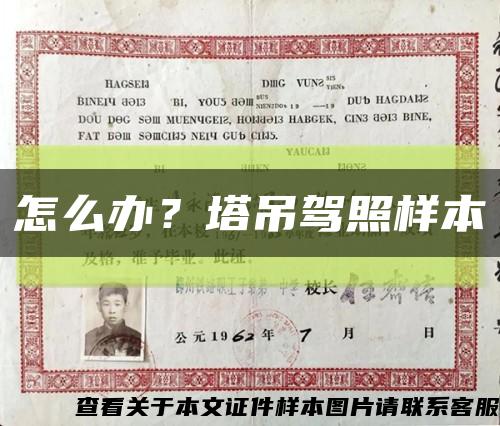 怎么办？塔吊驾照样本缩略图