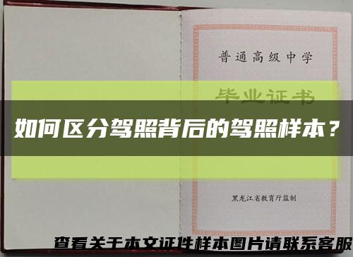 如何区分驾照背后的驾照样本？缩略图