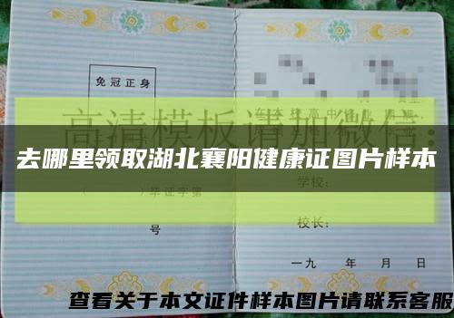 去哪里领取湖北襄阳健康证图片样本缩略图