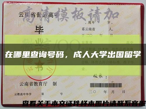 在哪里查询号码，成人大学出国留学缩略图