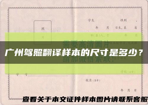 广州驾照翻译样本的尺寸是多少？缩略图