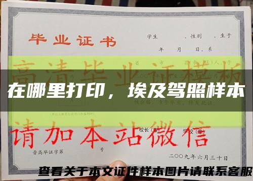 在哪里打印，埃及驾照样本缩略图