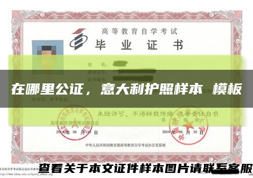 在哪里公证，意大利护照样本 模板缩略图