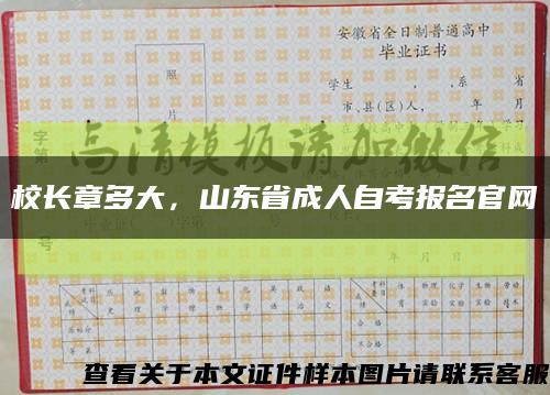 校长章多大，山东省成人自考报名官网缩略图