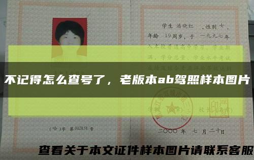 不记得怎么查号了，老版本ab驾照样本图片缩略图