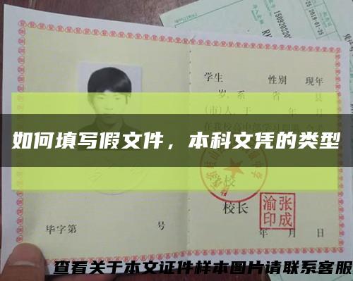 如何填写假文件，本科文凭的类型缩略图