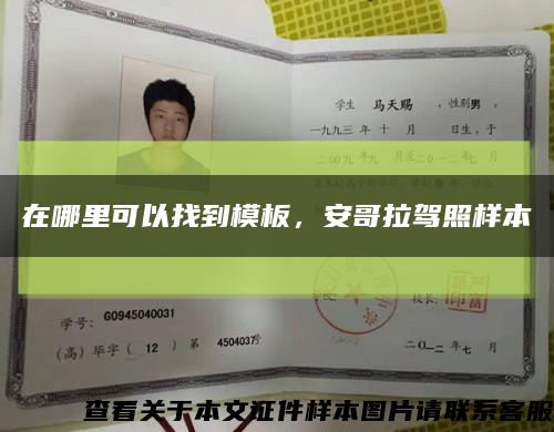 在哪里可以找到模板，安哥拉驾照样本缩略图