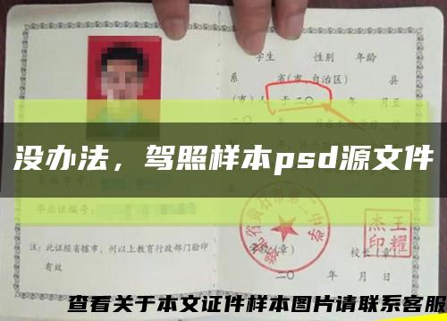 没办法，驾照样本psd源文件缩略图