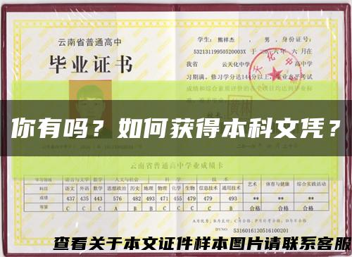 你有吗？如何获得本科文凭？缩略图