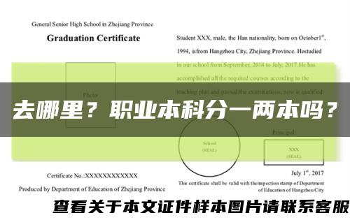 去哪里？职业本科分一两本吗？缩略图