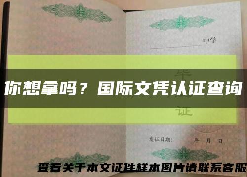 你想拿吗？国际文凭认证查询缩略图