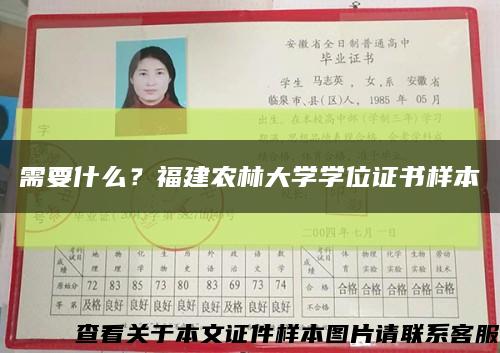 需要什么？福建农林大学学位证书样本缩略图