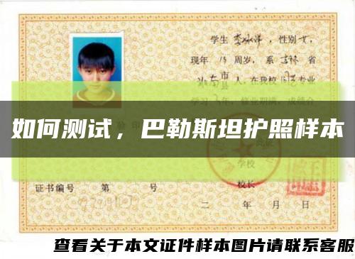 如何测试，巴勒斯坦护照样本缩略图