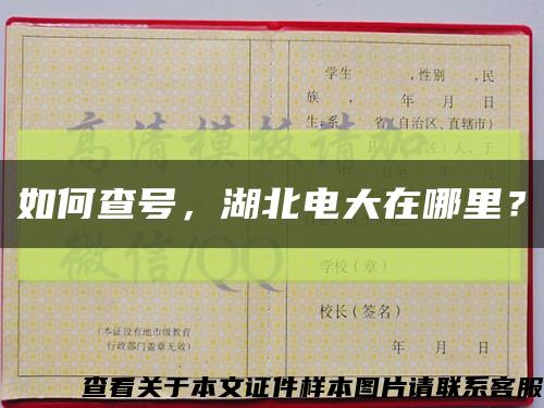 如何查号，湖北电大在哪里？缩略图
