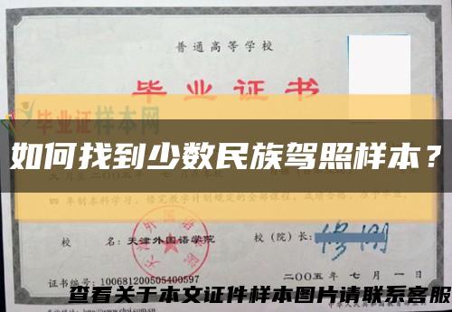 如何找到少数民族驾照样本？缩略图
