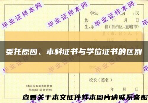 委托原因、本科证书与学位证书的区别缩略图