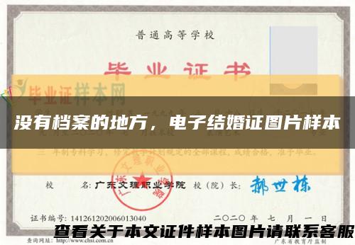 没有档案的地方，电子结婚证图片样本缩略图