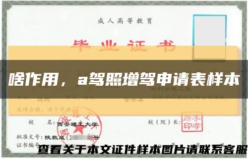 啥作用，a驾照增驾申请表样本缩略图