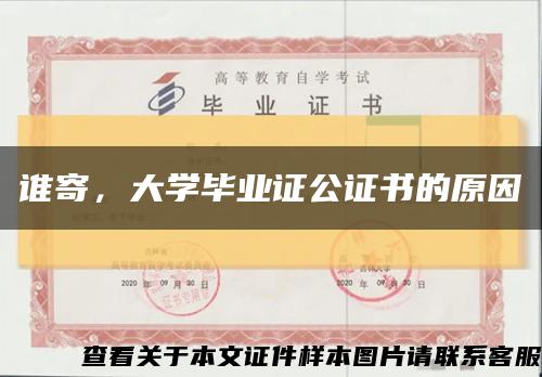 谁寄，大学毕业证公证书的原因缩略图