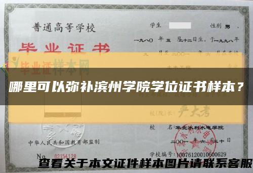 哪里可以弥补滨州学院学位证书样本？缩略图