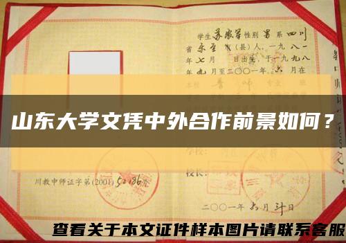 山东大学文凭中外合作前景如何？缩略图