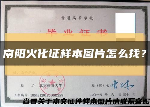 南阳火化证样本图片怎么找？缩略图