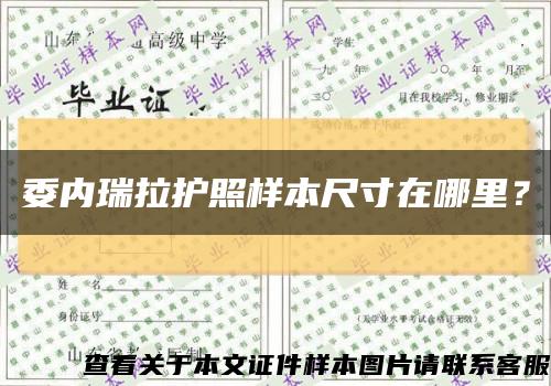 委内瑞拉护照样本尺寸在哪里？缩略图