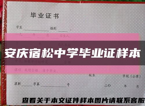 安庆宿松中学毕业证样本缩略图