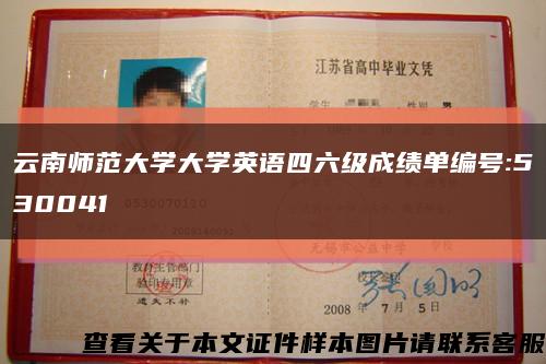 云南师范大学大学英语四六级成绩单编号:530041缩略图